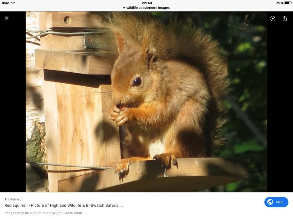 The Monarch Lodge ,Aviemore Holiday Park エクステリア 写真